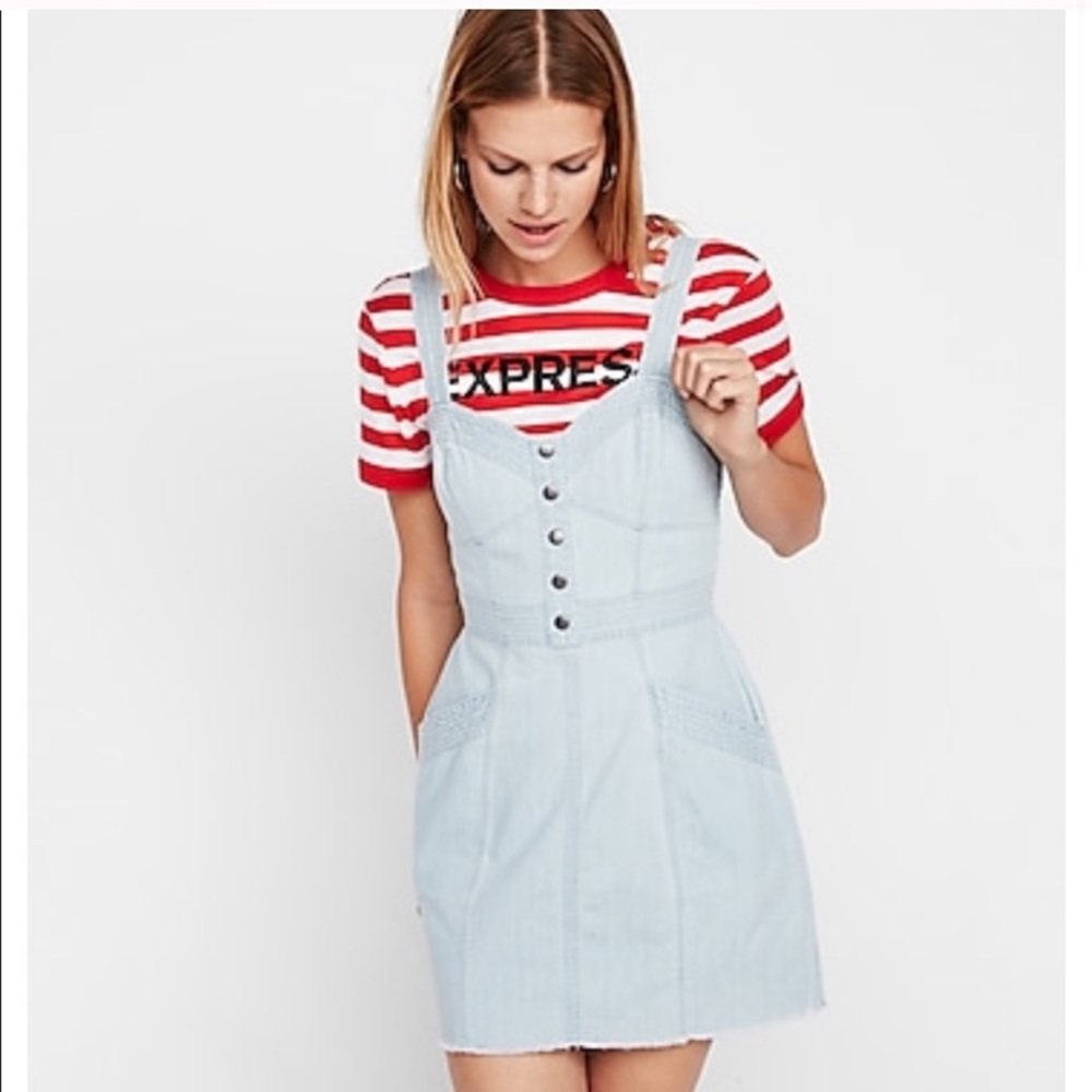 Express Denim Dress